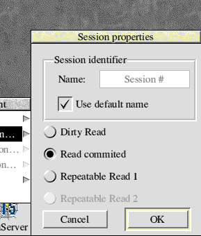 This is the New session window